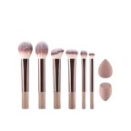 Professional Makeup Brush Set with Sponges