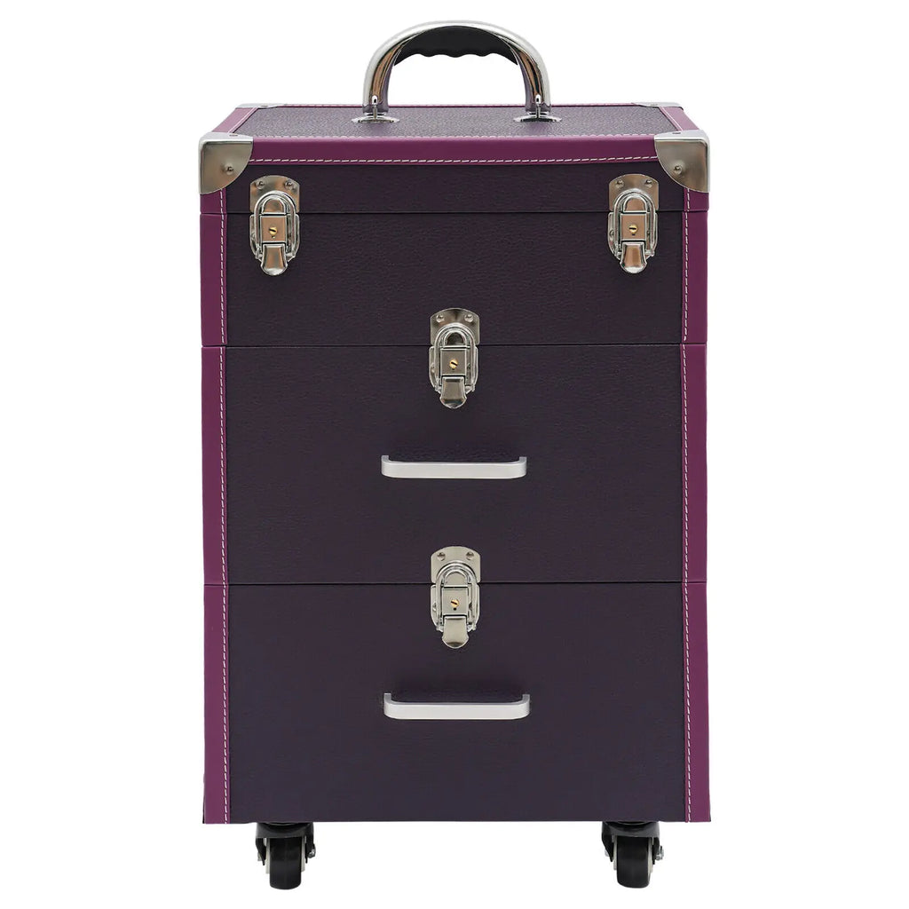 Professional Rolling Makeup Train Case