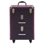 Professional Rolling Makeup Train Case