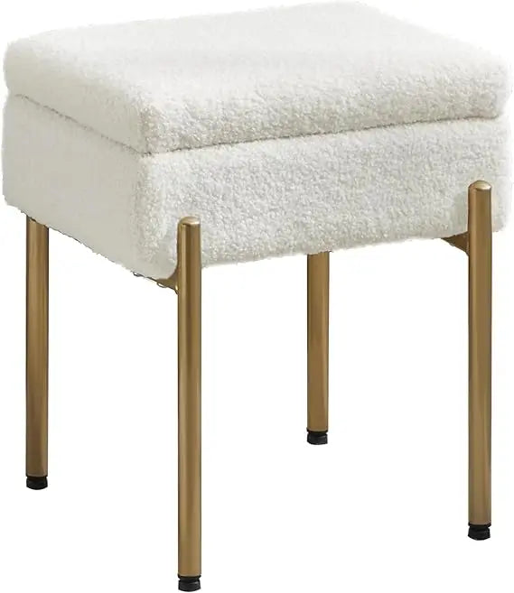 Vanity Desk Ottoman Stool with Storage