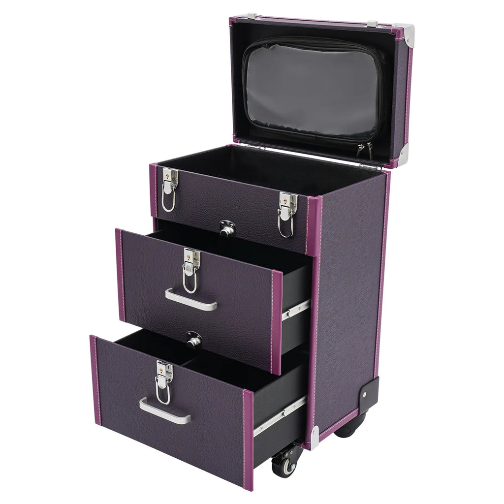 Professional Rolling Makeup Train Case