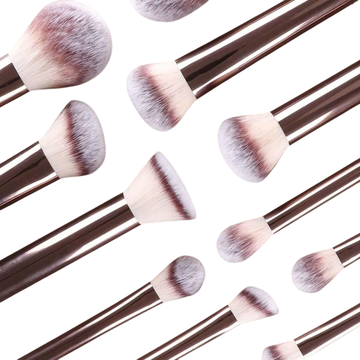 Professional Makeup Brush Set with Sponges