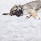 Soft Plush Circular Rugs for Vanity Desk Chair