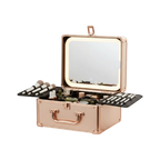 Makeup Case With A Detachable LED Mirror - Rose Gold