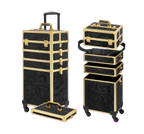 5 in 1 Makeup Trolley