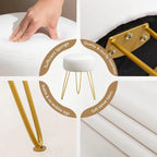 Multipurpose Vanity Stool