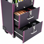Professional Rolling Makeup Train Case