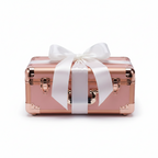 3 Tiers Rolling Makeup Train Case