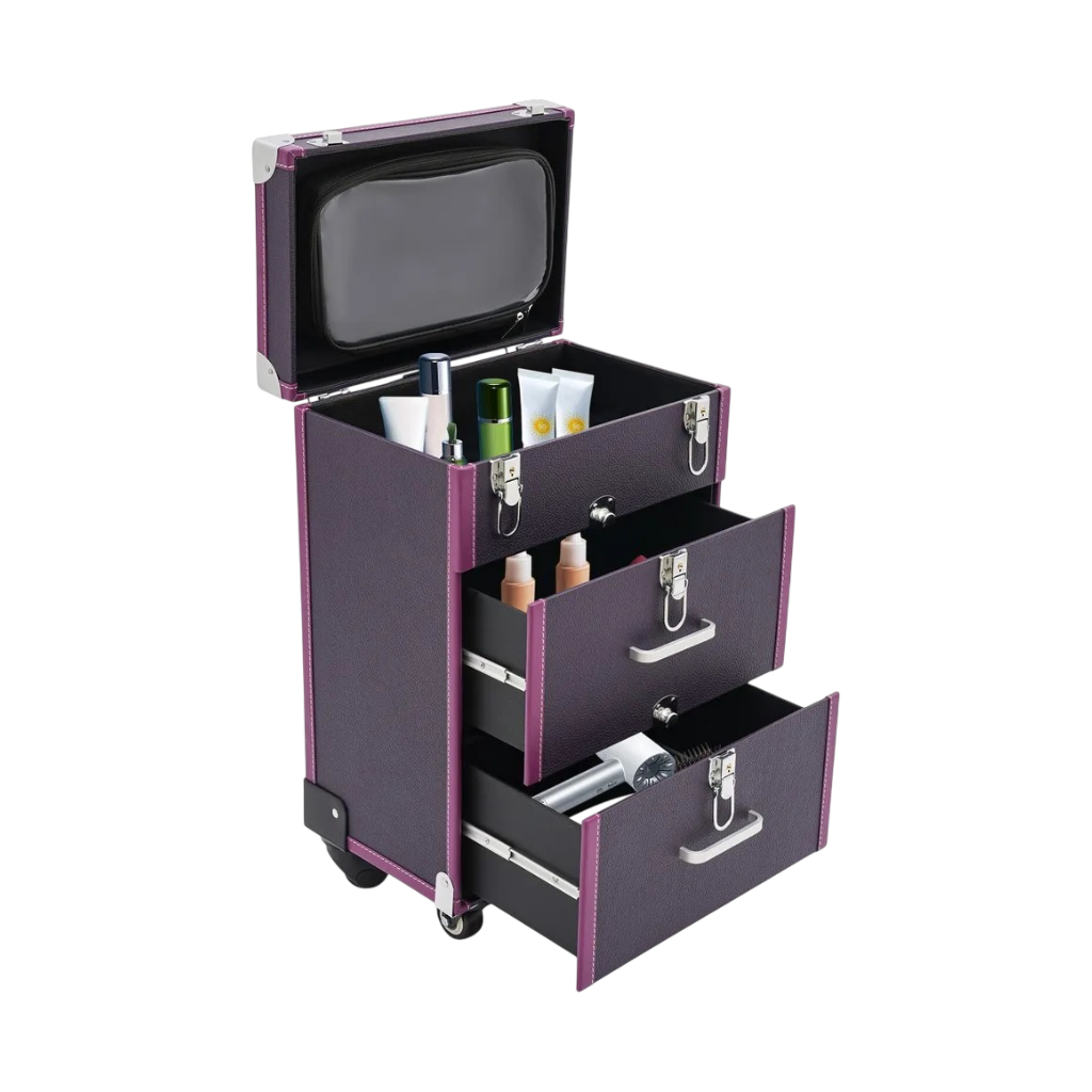 Professional Rolling Makeup Train Case
