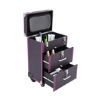 Professional Rolling Makeup Train Case