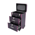 Professional Rolling Makeup Train Case