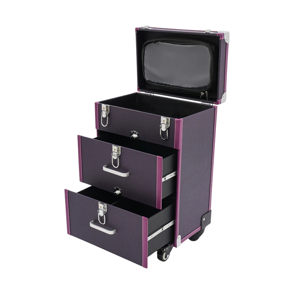 Professional Rolling Makeup Train Case