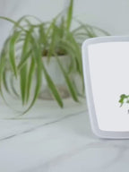 Compact Tabletop LED Makeup Mirror