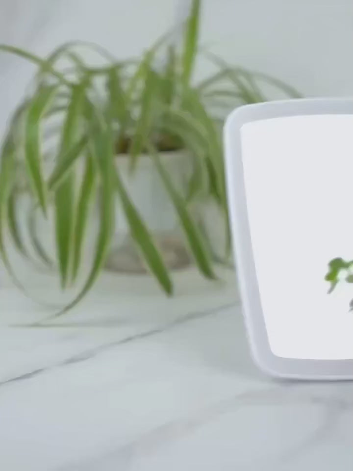 Compact Tabletop LED Makeup Mirror
